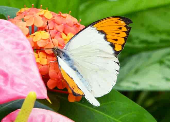 �c�}�x�j�`���E